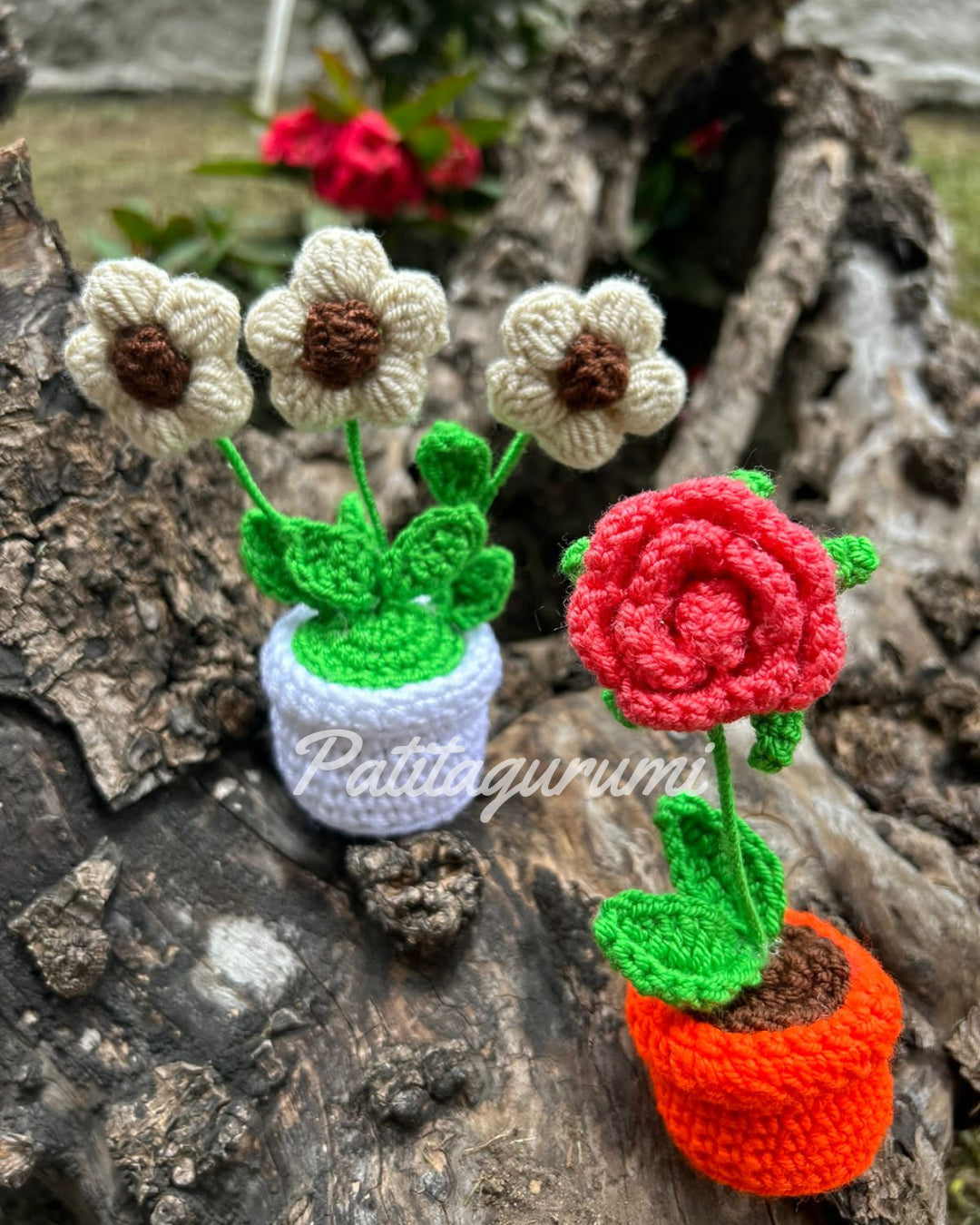 Flores en Macetas