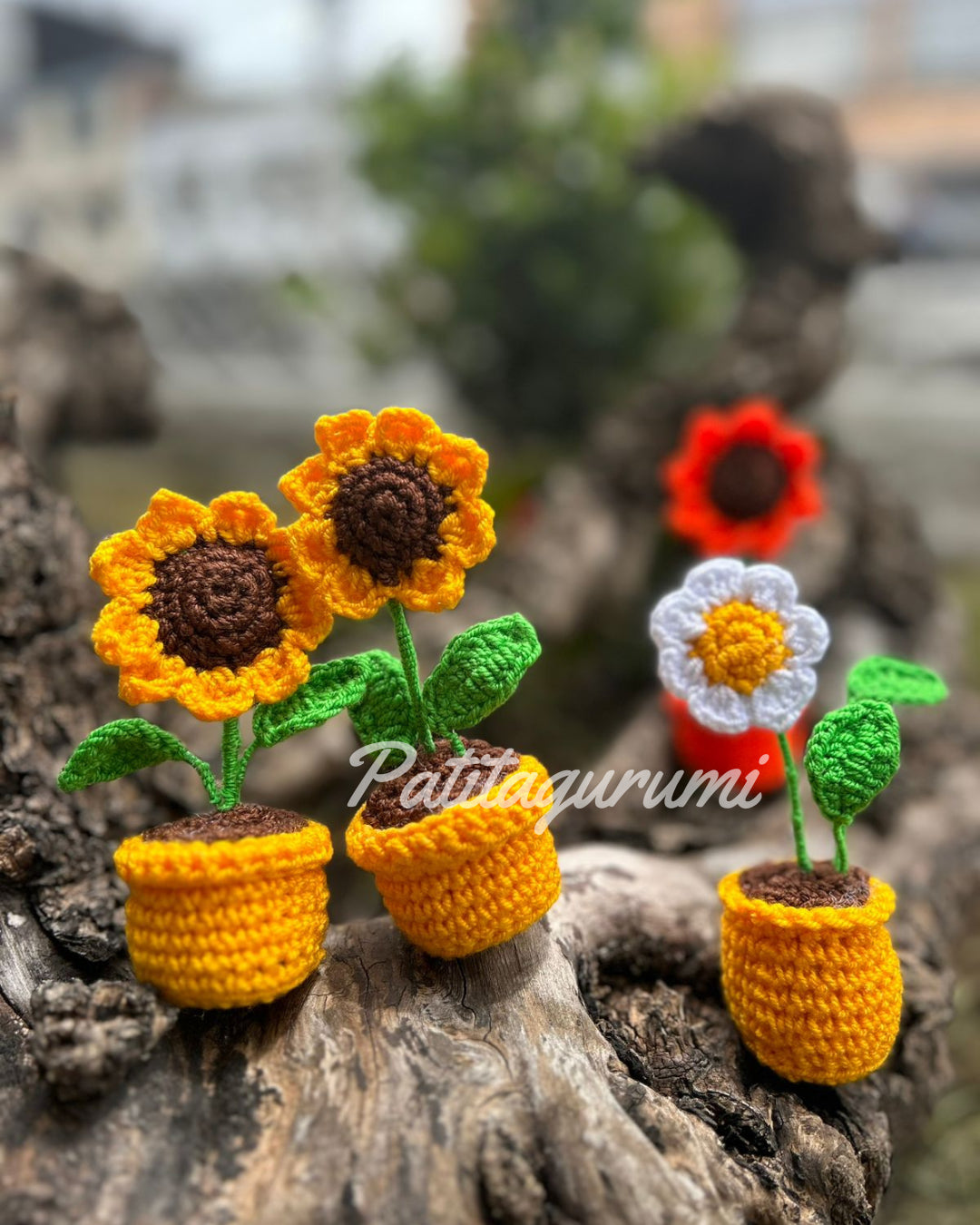 Flores en Macetas